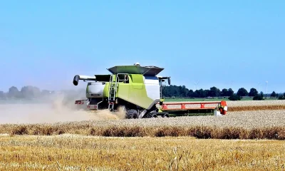 Große Erntemaschine auf Getreidefeld