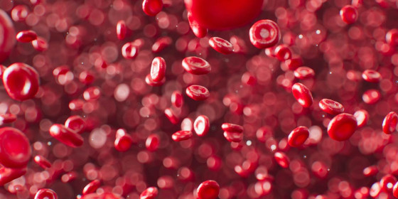 Computergenerierte Darstellung stark vergrößerter roter Blutkörperchen