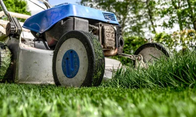 Rasenmäher auf kurzgeschnittenem Gras