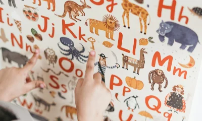 Kinderhände zeigen auf verschiedene Tiere auf einer Buchstabentafel