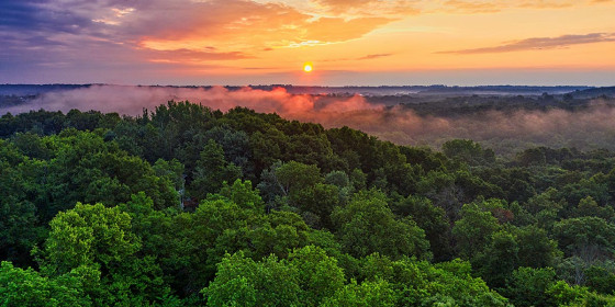 Sonnenuntergang über weitläufigem Wald