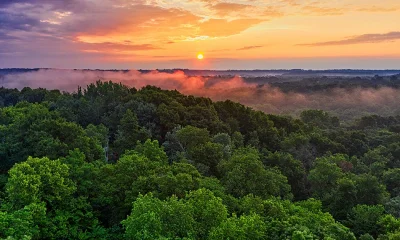 Sonnenuntergang über weitläufigem Wald