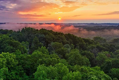 Sonnenuntergang über weitläufigem Wald