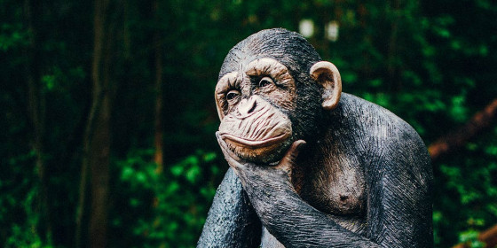 Nachbildung eines Schimpansen mit nachdenklicher Geste