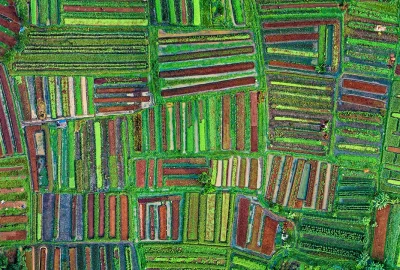 Luftaufnahme unterschiedlicher landwirtschaftlicher Anbauflächen