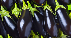 Auberginen
