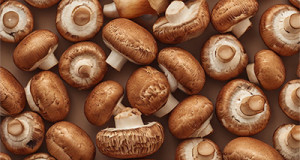 Champignons