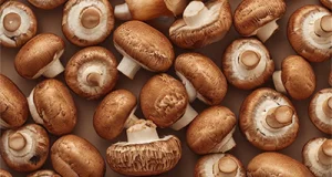 Champignons