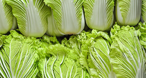 Chinakohl