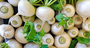 Mairübchen