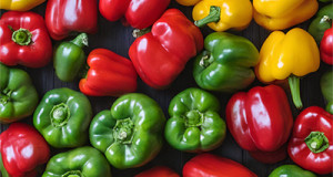 Paprika