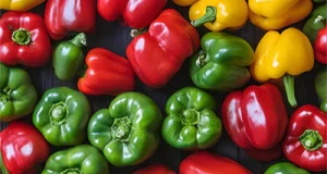 Paprika