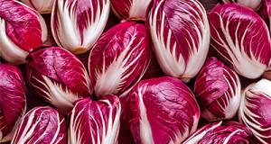 Radicchio
