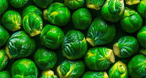 Rosenkohl