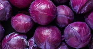 Rotkohl