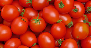 Tomaten