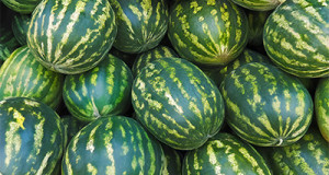 Wassermelonen