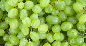 Weintrauben
