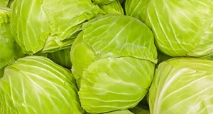 Weißkohl